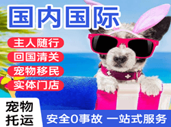 天府航空邮寄国际宠物托运 【国